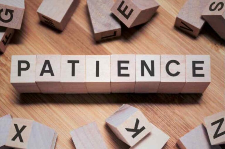 Successful people work with patience - Motivational Essence